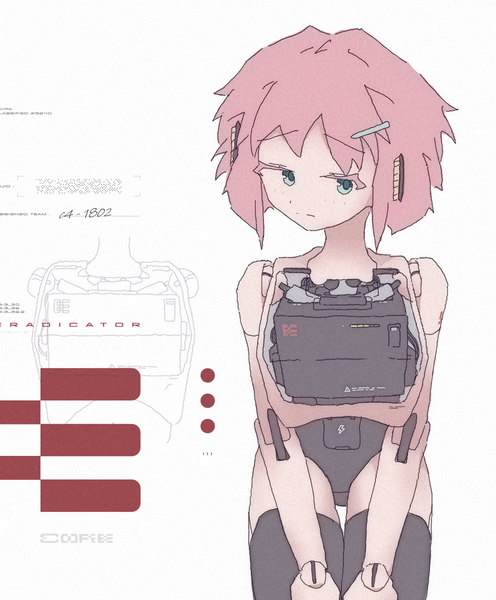 #480 [ awpa-core: c4-1802 - eradicator ]