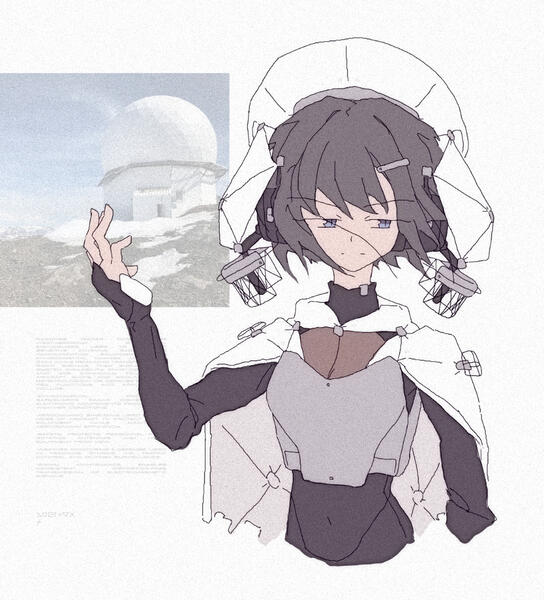 #504 [ antarctic radome antenna ]