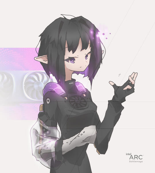 #429 [ intel arc b ]