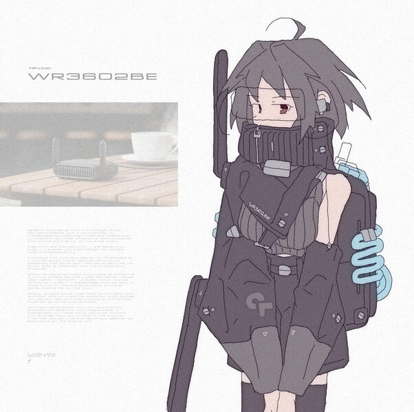 #498 [ tp-link wr3602be ]